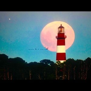 Meet your Posher, Hunter